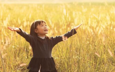 Relaxation et Nutrition : Les Aliments Qui Calment le Corps et l&rsquo;Esprit