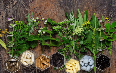 Innovations en compléments alimentaires révolutionnent santé, forme et bien-être quotidien