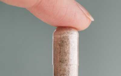 Innovations en compléments alimentaires révolutionnent nos routines santé dès 2024